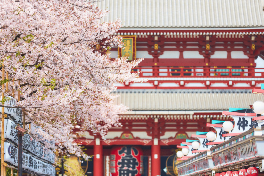 Tour sakura classic 2026 Asakusa