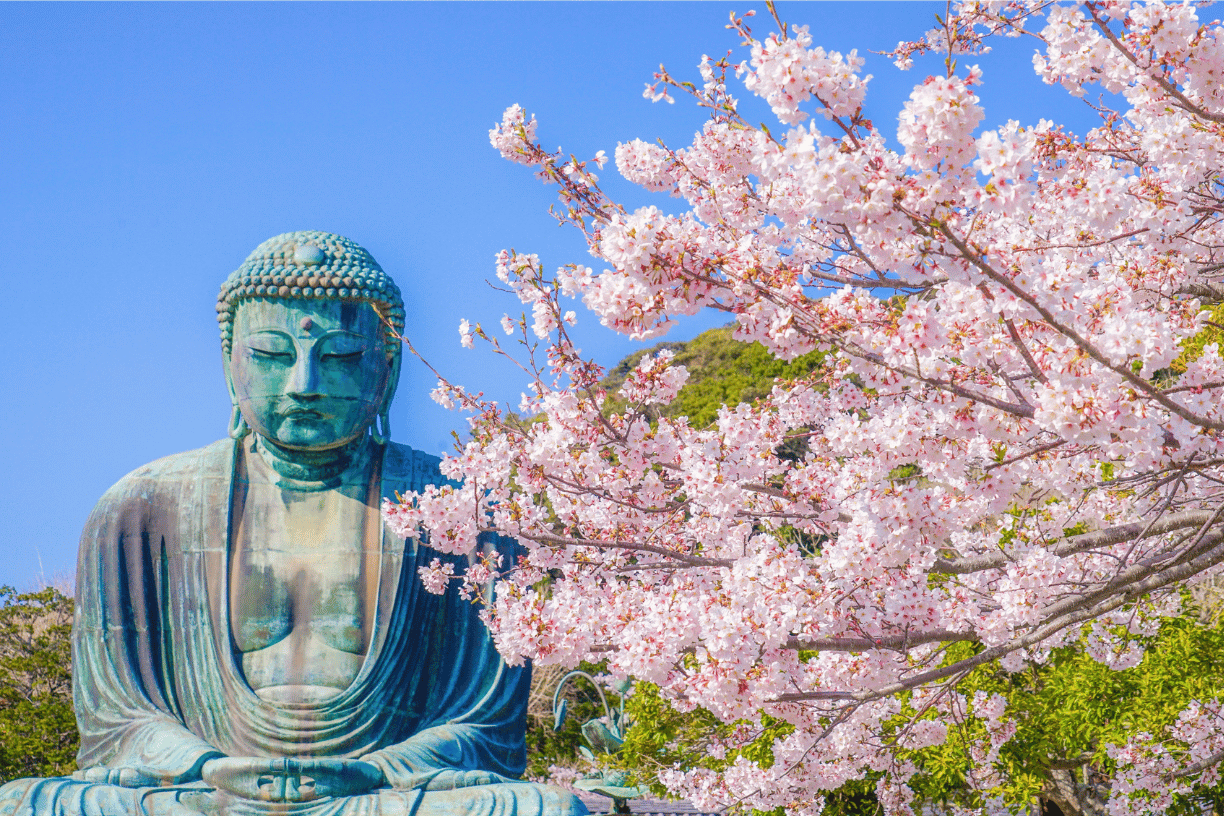 Tour sakura classic 2026 Kamakura