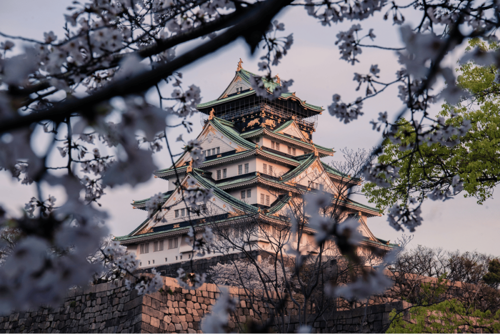 Tour sakura classic 2026 Nara